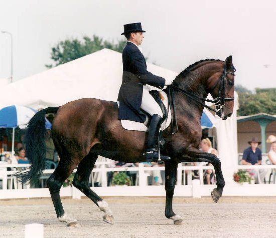 anastasia_hickstead-cdio_passage-new