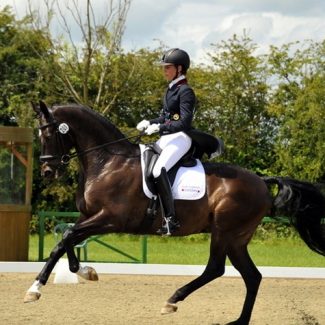 Mette Assouline Dressage