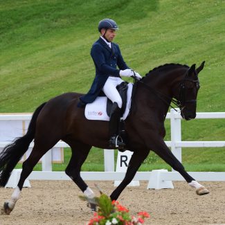 Michel Assouline Dressage