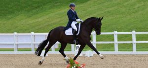 Michel Assouline Dressage