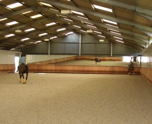 Dressage Training