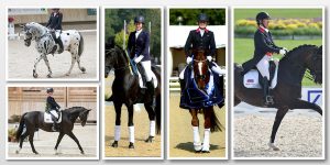 Collage of Champions
