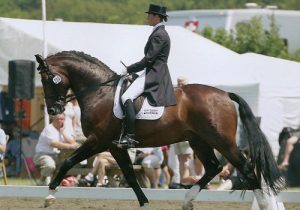 Forest Gump Dressage