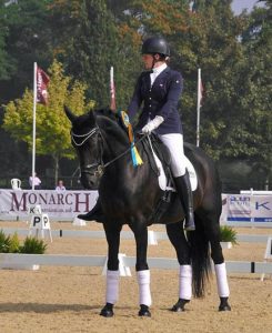 Princess by Assouline Dressage
