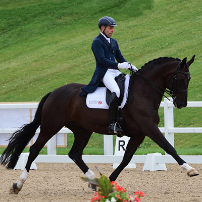 Sold Horse
