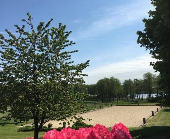 outdoor arena 2